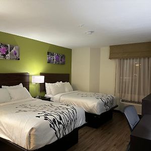 Double Room Two Double Beds Non-Smoking