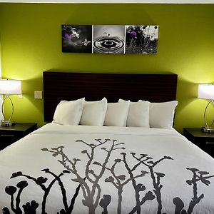 King Room Accessible or Non Smoking